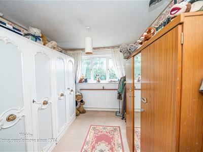 Picture 20